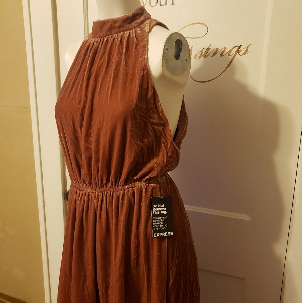 Express Velour Asymmetrical Hem Dress
